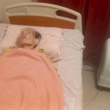 โครงการ ‘ต่อลมหายใจ’ Image 4