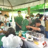 มูลนิธิฯ ร่วมกับ สำนักอนามัย จัดโครงการกรุงเทพฯ ห่วงใย ใส่ใจ ... Image 5